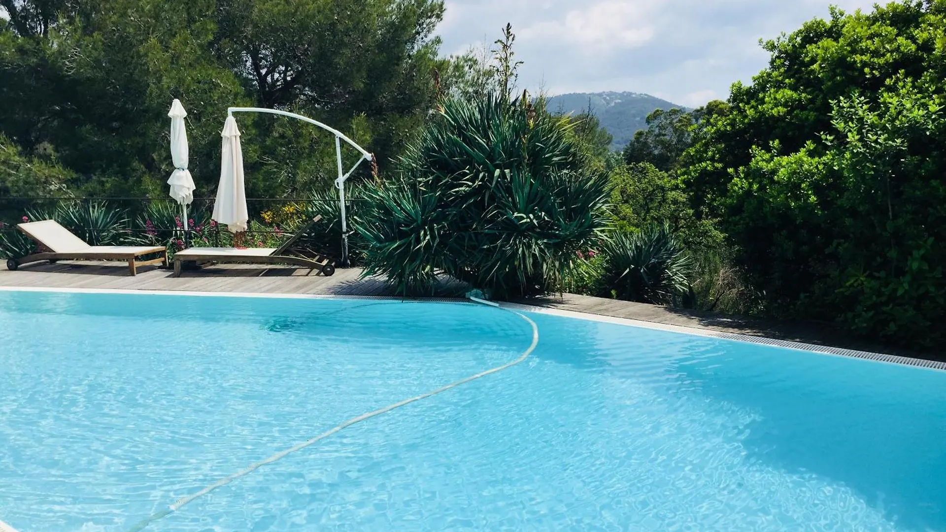 Loft 45M2 Piscine Villa Carqueiranne 0*,